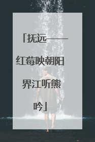 抚远——红莓映朝阳 界江听熊吟