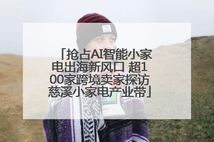 抢占AI智能小家电出海新风口 超100家跨境卖家探访慈溪小家电产业带