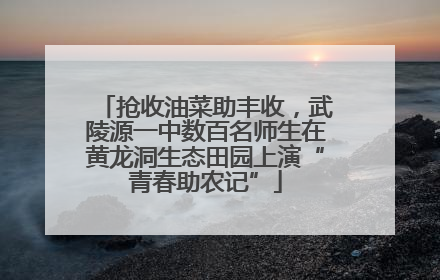 抢收油菜助丰收，武陵源一中数百名师生在黄龙洞生态田园上演“青春助农记”