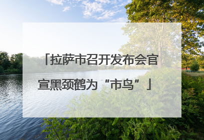 拉萨市召开发布会官宣黑颈鹤为“市鸟”