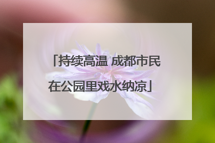 持续高温 成都市民在公园里戏水纳凉