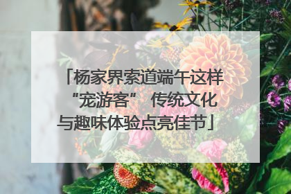 杨家界索道端午这样“宠游客” 传统文化与趣味体验点亮佳节