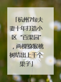 杭州7旬夫妻十年打造小区“百果园”，两棵猕猴桃树结出上千个果子