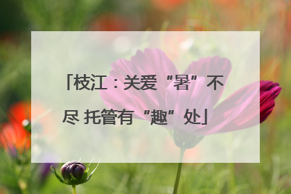 枝江：关爱“暑”不尽 托管有“趣”处