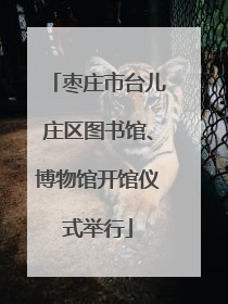 枣庄市台儿庄区图书馆、博物馆开馆仪式举行