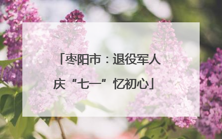 枣阳市：退役军人庆“七一”忆初心