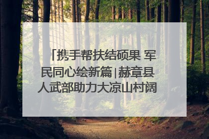 携手帮扶结硕果 军民同心绘新篇∣赫章县人武部助力大凉山村阔步乡村振兴路