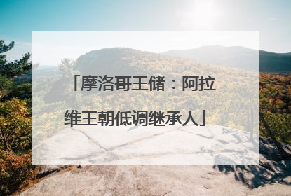 摩洛哥王储：阿拉维王朝低调继承人