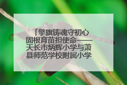 擎旗铸魂守初心 固根育苗担使命——天长市炳辉小学与萧县师范学校附属小学结对共建活动纪实