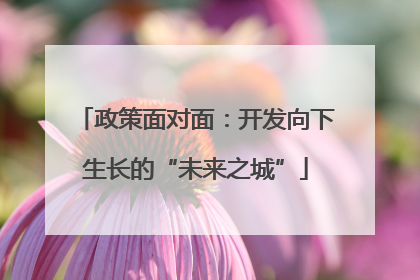 政策面对面：开发向下生长的“未来之城”