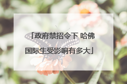 政府禁招令下 哈佛国际生受影响有多大