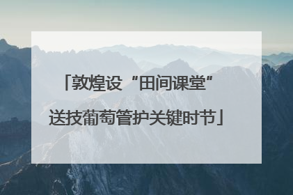 敦煌设“田间课堂” 送技葡萄管护关键时节