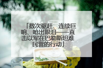 数次驱赶、连续巨响、呛出眼泪——直击以军在巴勒斯坦难民营的行动