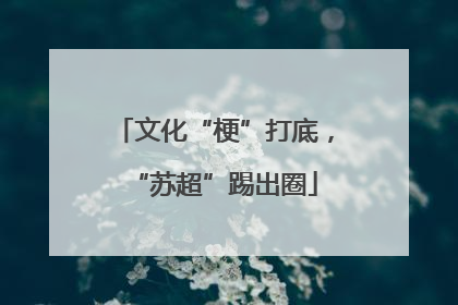 文化“梗”打底，“苏超”踢出圈
