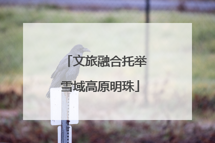 文旅融合托举雪域高原明珠