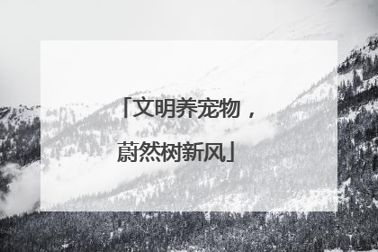 文明养宠物,蔚然树新风