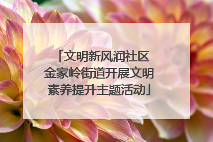 文明新风润社区 金家岭街道开展文明素养提升主题活动