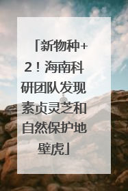 新物种+2！海南科研团队发现素贞灵芝和自然保护地壁虎