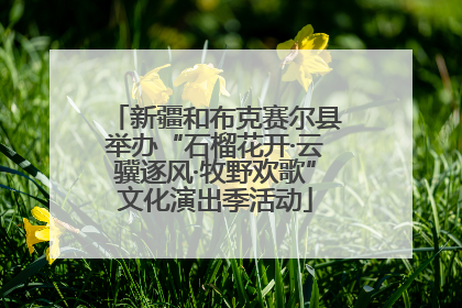 新疆和布克赛尔县举办“石榴花开·云骥逐风·牧野欢歌”文化演出季活动