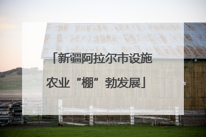 新疆阿拉尔市设施农业“棚”勃发展