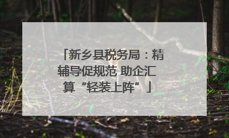 新乡县税务局：精辅导促规范 助企汇算“轻装上阵”