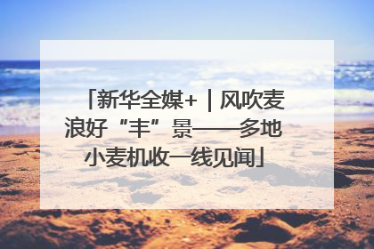 新华全媒+｜风吹麦浪好“丰”景——多地小麦机收一线见闻