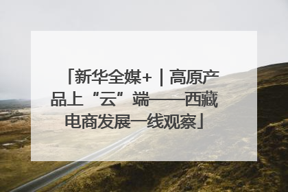 新华全媒+｜高原产品上“云”端——西藏电商发展一线观察