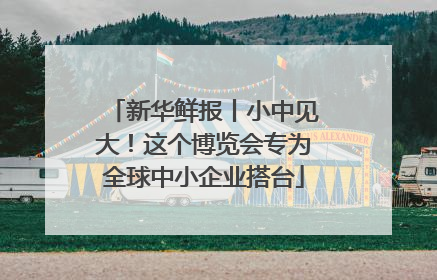 新华鲜报丨小中见大！这个博览会专为全球中小企业搭台