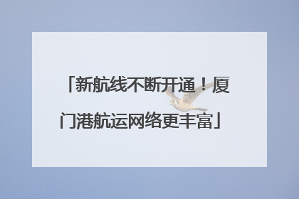 新航线不断开通！厦门港航运网络更丰富
