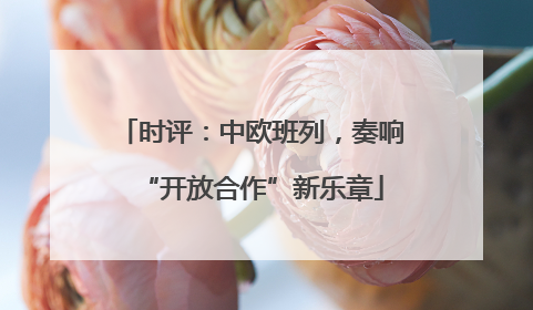 时评：中欧班列，奏响“开放合作”新乐章