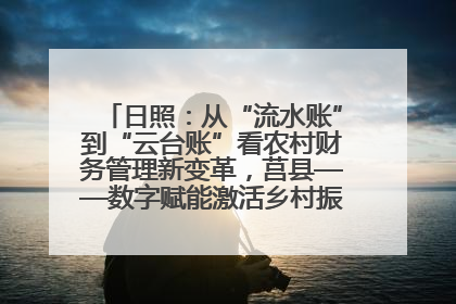 日照：从“流水账”到“云台账”看农村财务管理新变革，莒县——数字赋能激活乡村振兴“一池春水”
