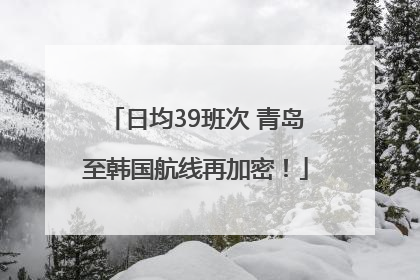 日均39班次 青岛至韩国航线再加密！