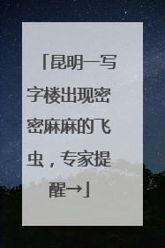 昆明一写字楼出现密密麻麻的飞虫，专家提醒→