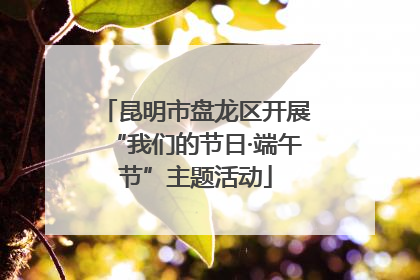 昆明市盘龙区开展“我们的节日·端午节”主题活动