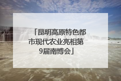 昆明高原特色都市现代农业亮相第9届南博会