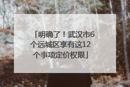 明确了！武汉市6个远城区享有这12个事项定价权限