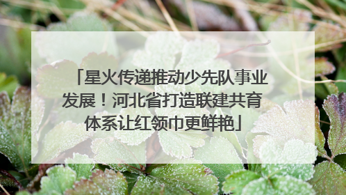 星火传递推动少先队事业发展！河北省打造联建共育体系让红领巾更鲜艳