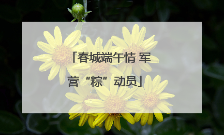 春城端午情 军营“粽”动员