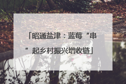昭通盐津：蓝莓“串”起乡村振兴增收链