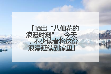 晒出“八仙花的浪漫时刻”，今天，不少读者将这份浪漫延续到家里