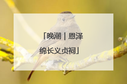 晚潮｜恩泽绵长义贞祠