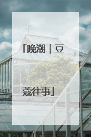 晚潮｜豆蔻往事