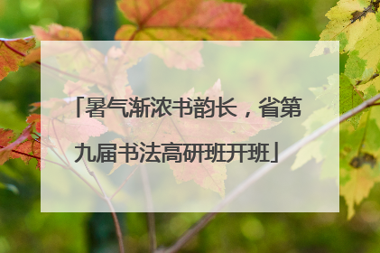 暑气渐浓书韵长，省第九届书法高研班开班