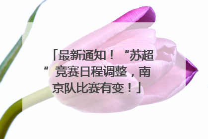 最新通知！“苏超”竞赛日程调整，南京队比赛有变！