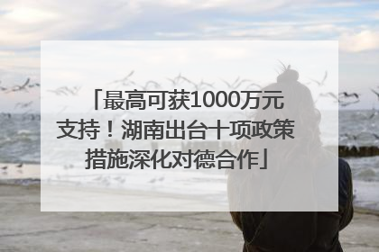 最高可获1000万元支持！湖南出台十项政策措施深化对德合作