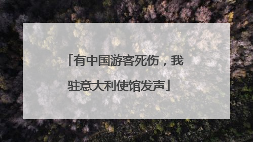 有中国游客死伤，我驻意大利使馆发声