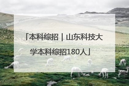 本科综招｜山东科技大学本科综招180人