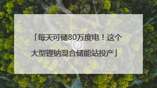 每天可储80万度电！这个大型锂钠混合储能站投产