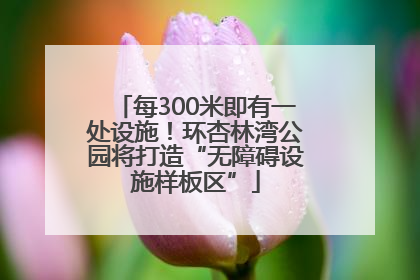 每300米即有一处设施！环杏林湾公园将打造“无障碍设施样板区”