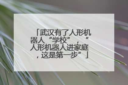 武汉有了人形机器人“学校”，“人形机器人进家庭，这是第一步”